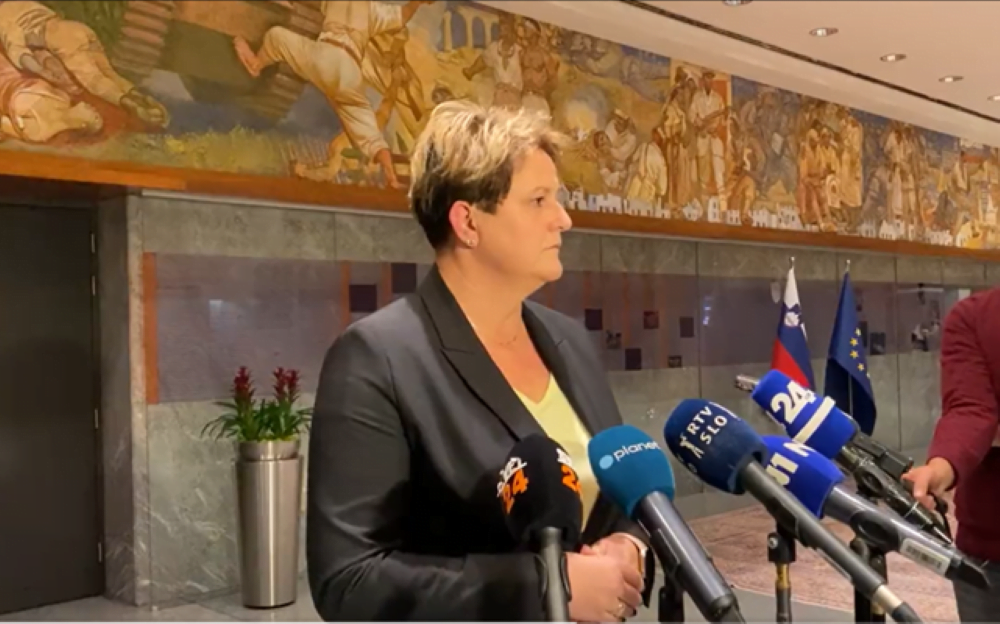 Jelka Godec Zajem zaslona