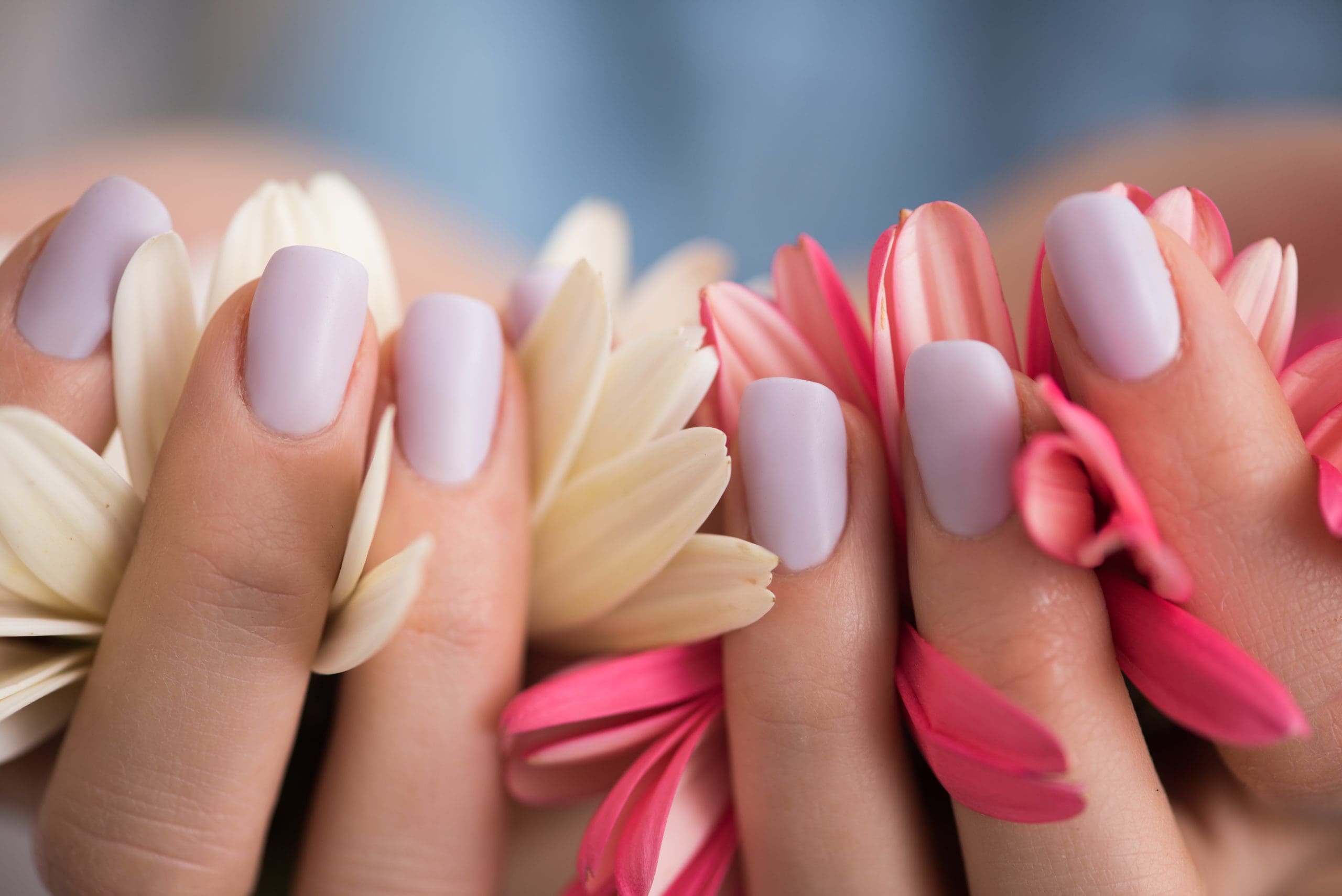 https://www.vecteezy.com/photo/12649604-woman-hands-with-manicure-holding-flower
