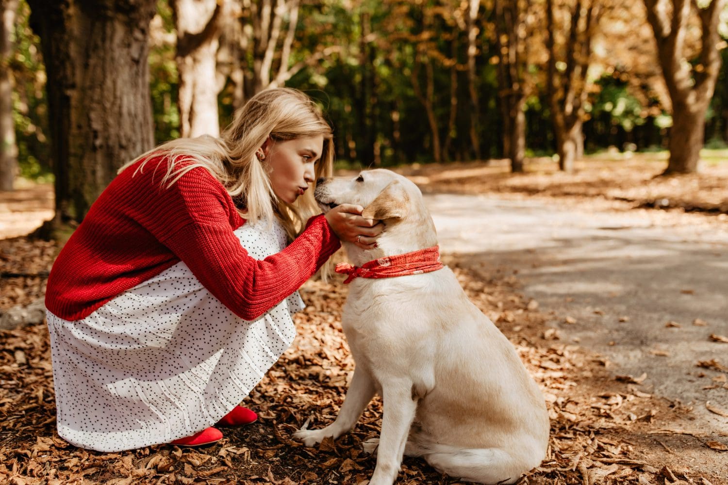 https://www.freepik.com/free-photo/beautiful-woman-kissing-her-adorable-bonny-dog-lovely-girl-red-sweater-white-dress-sharing-love-with-pet_12018318.htm#fromView=search&page=2&position=44&uuid=e8b80cb0-e925-43eb-a36b-991e232704d0
