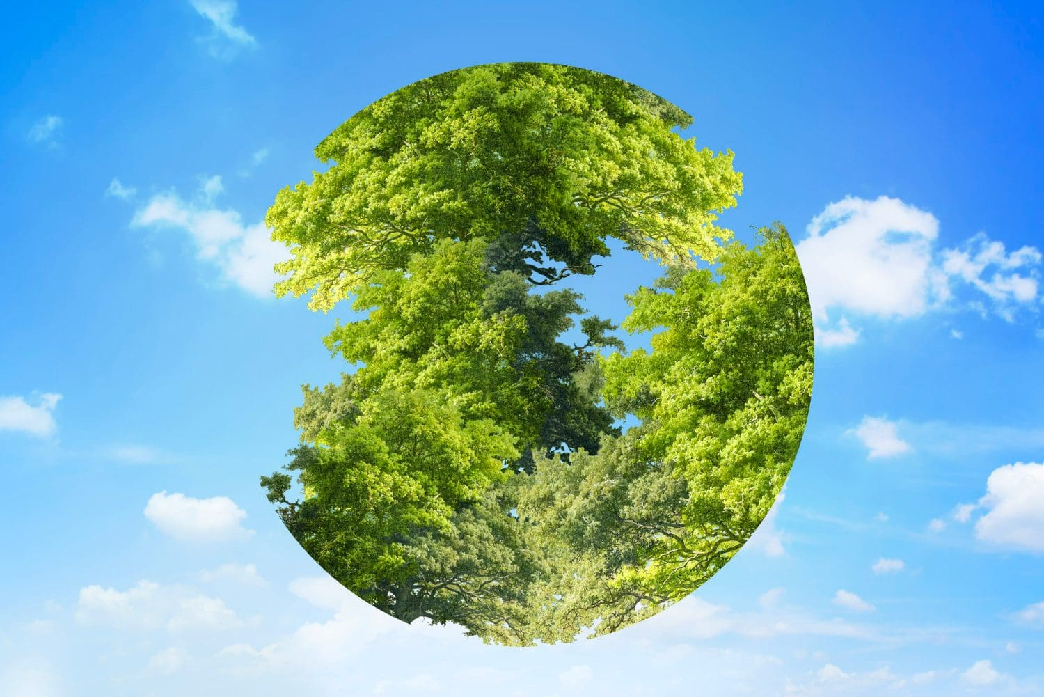 https://www.freepik.com/free-photo/earth-day-graphic-trees-globe-circle-shape-sky-background-remixed-media_15604418.htm#fromView=search&page=4&position=16&uuid=3bd56cb5-cbdc-4092-b51b-bf1903d3697b