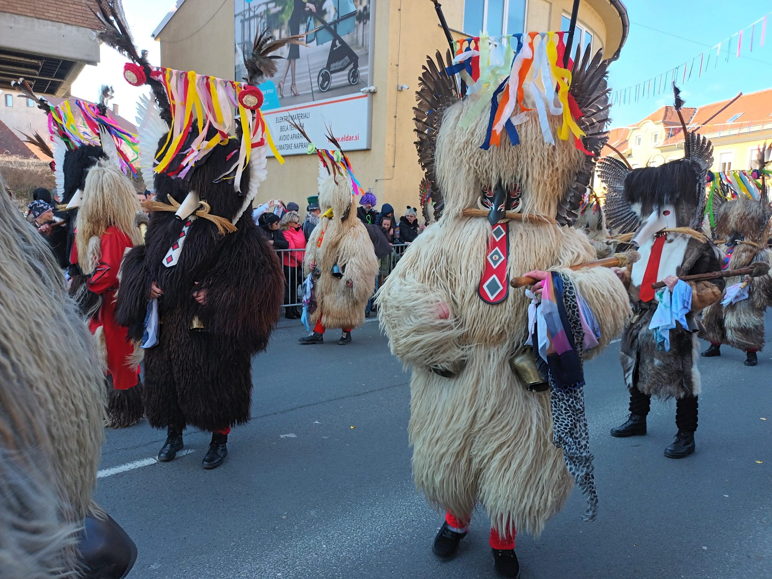 Ptuj 2025 Portal24 1