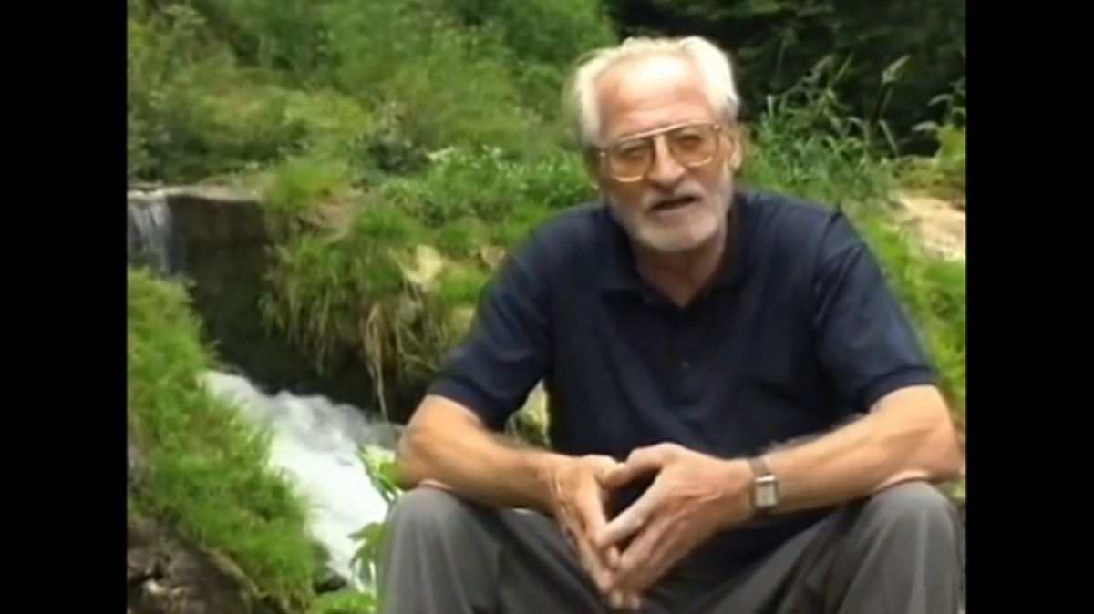 Tone Pavček Zajem zaslona YT