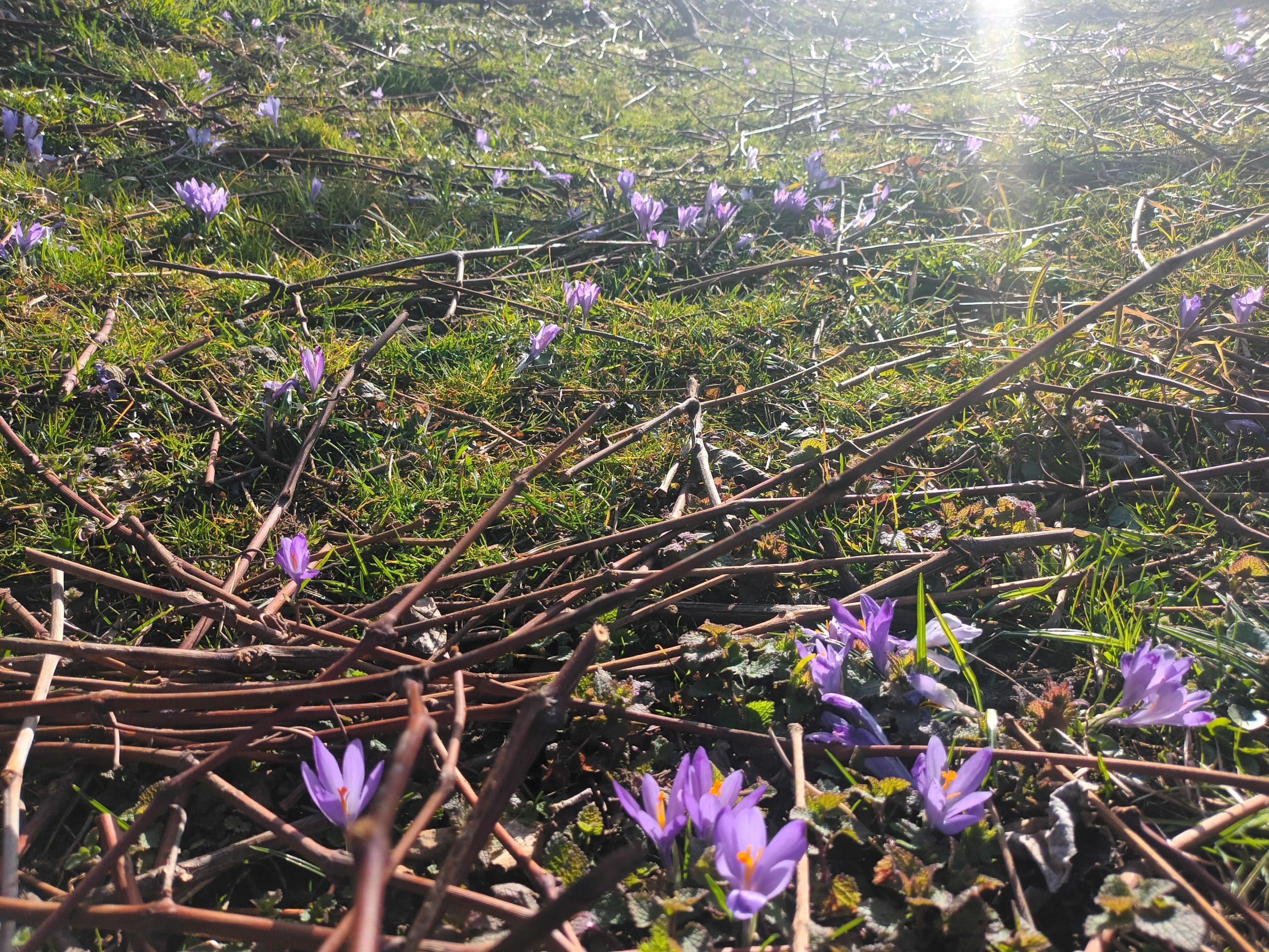 pomlad vreme Portal24