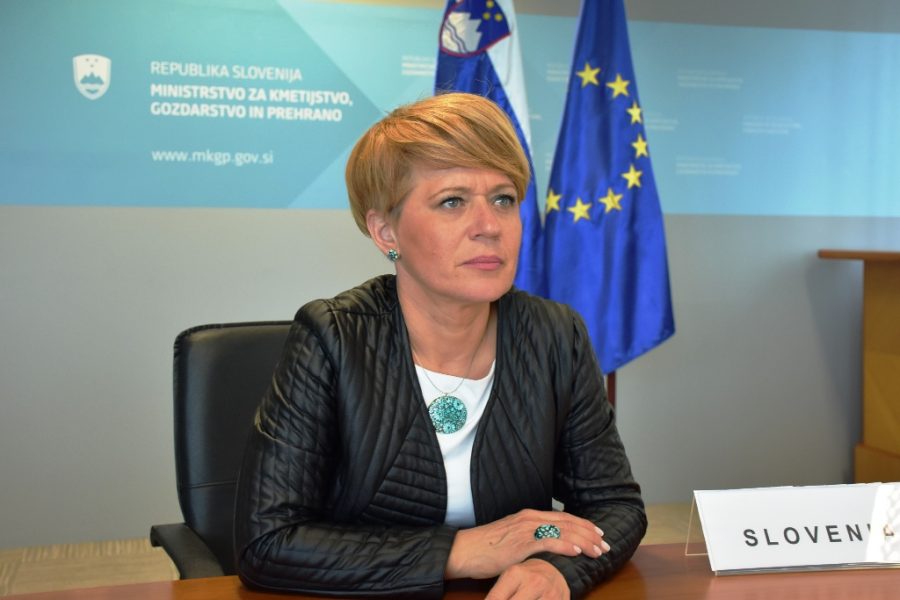 Aleksandra Pivec Vlada RS