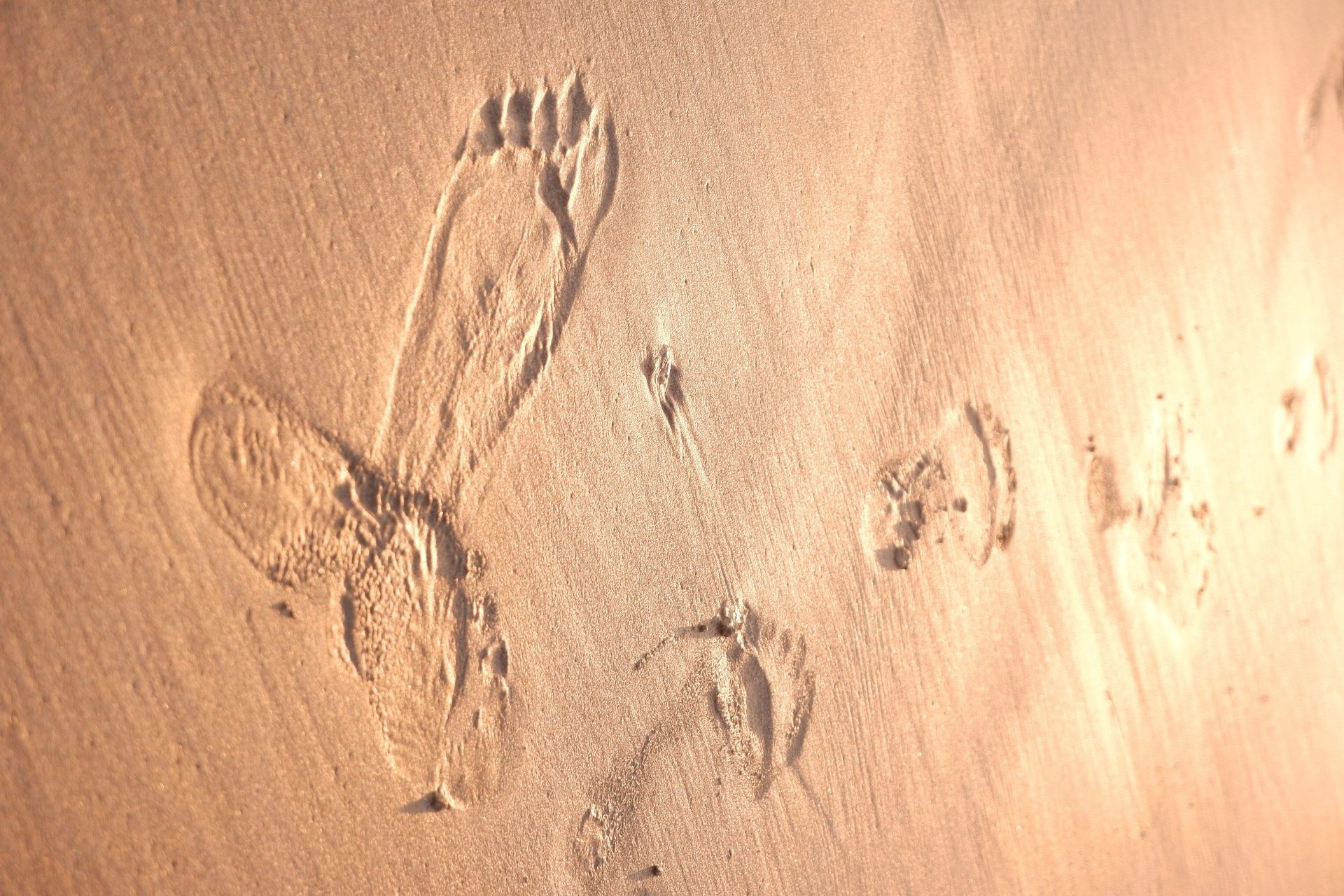 odtisi noge plaža Pixabay