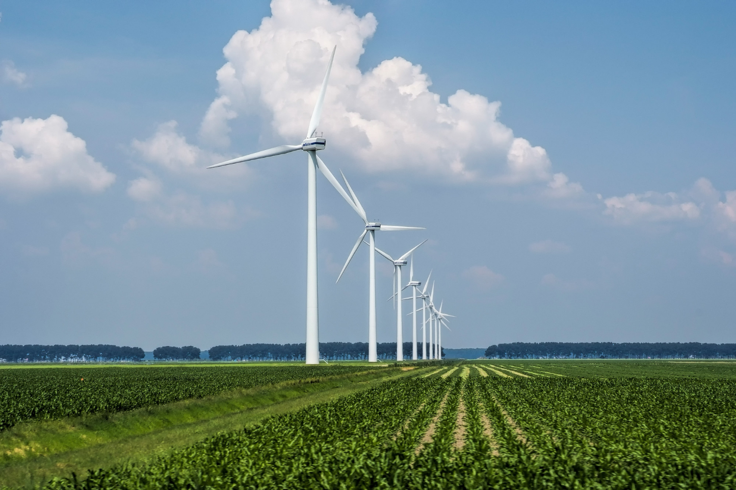 vetrna elektrarna energija elektrika okolje freepik https://www.freepik.com/free-photo/beautiful-view-wind-turbines-grass-covered-field-captured-holland_8755603.htm