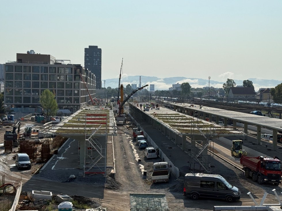 Ozelenitev nadstrešnic na železniški postaji Ljubljana Direkcija za infrastrukturo https://www.gov.si/novice/2025-08-08-zelezniska-postaja-ljubljana-postaja-zelena/