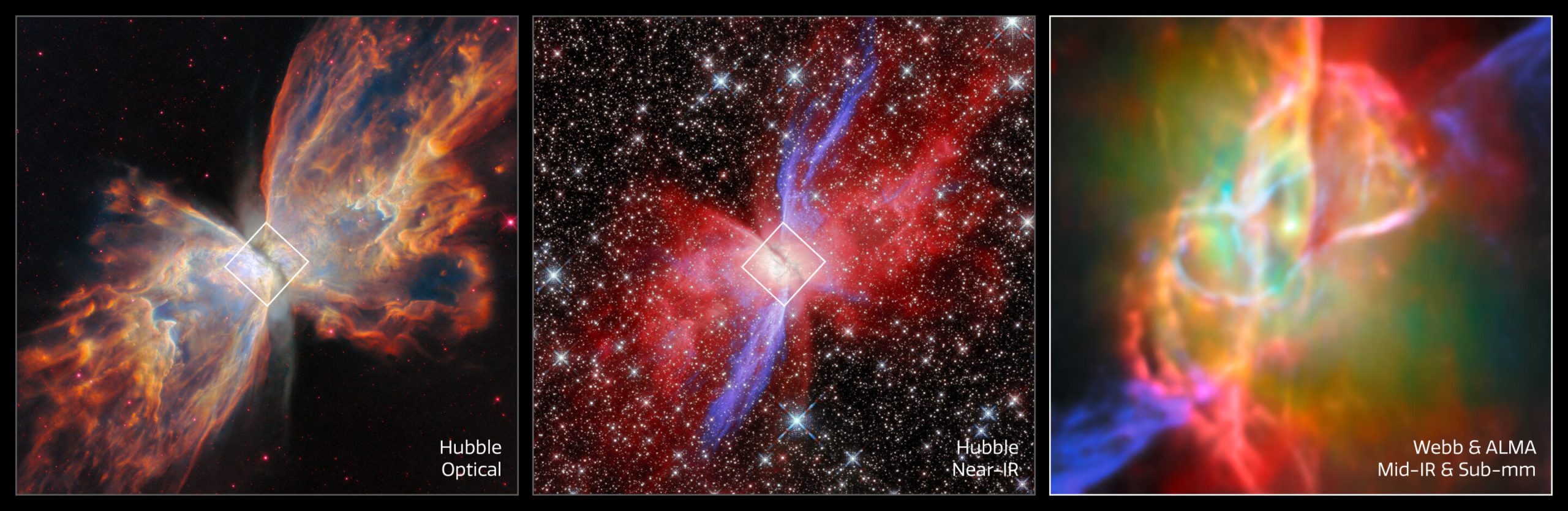 cosmic-butterfly-revea-2