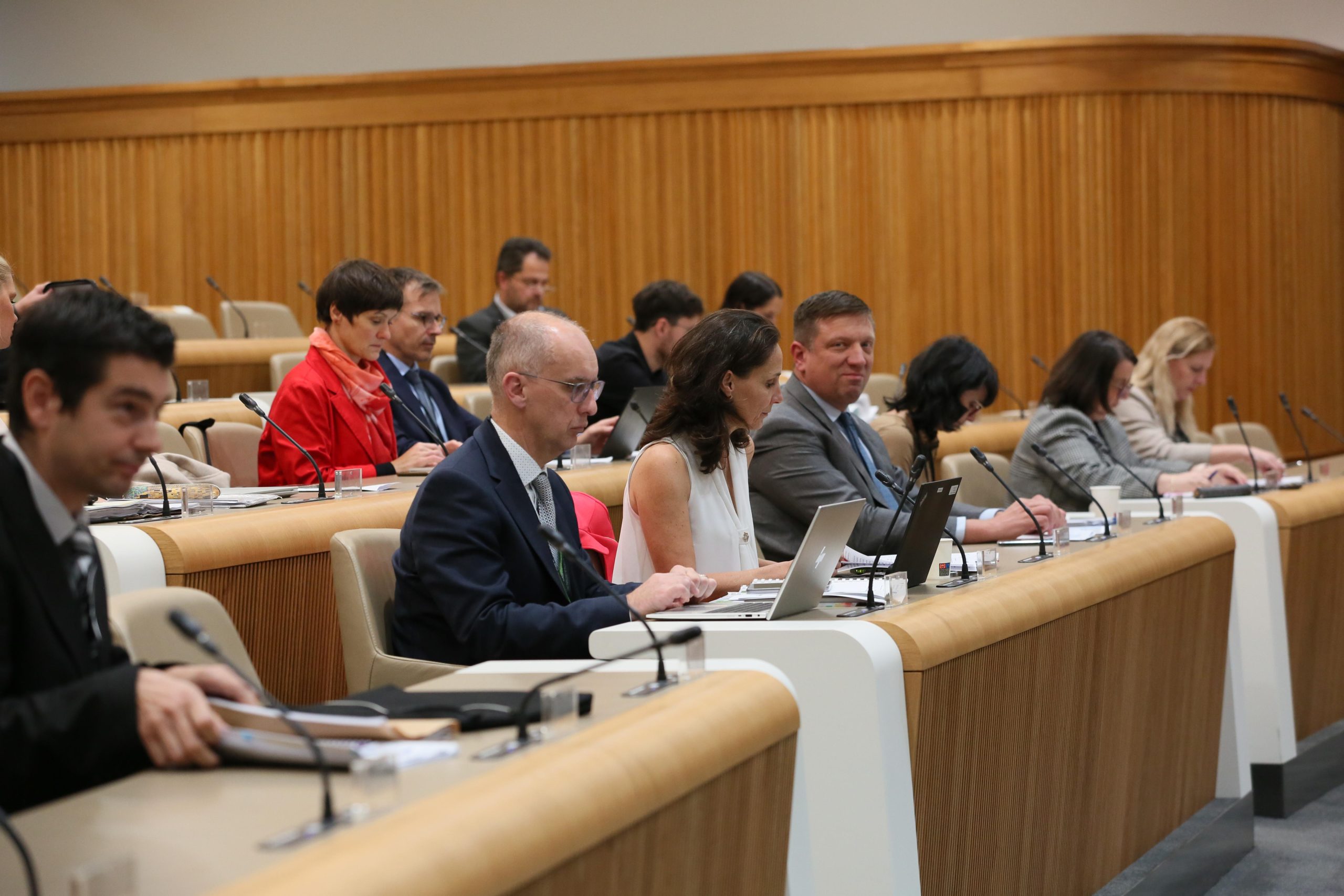 Članice in člani Odbora za finance ter vabljeni na sejo. Tjaša Kos DZ