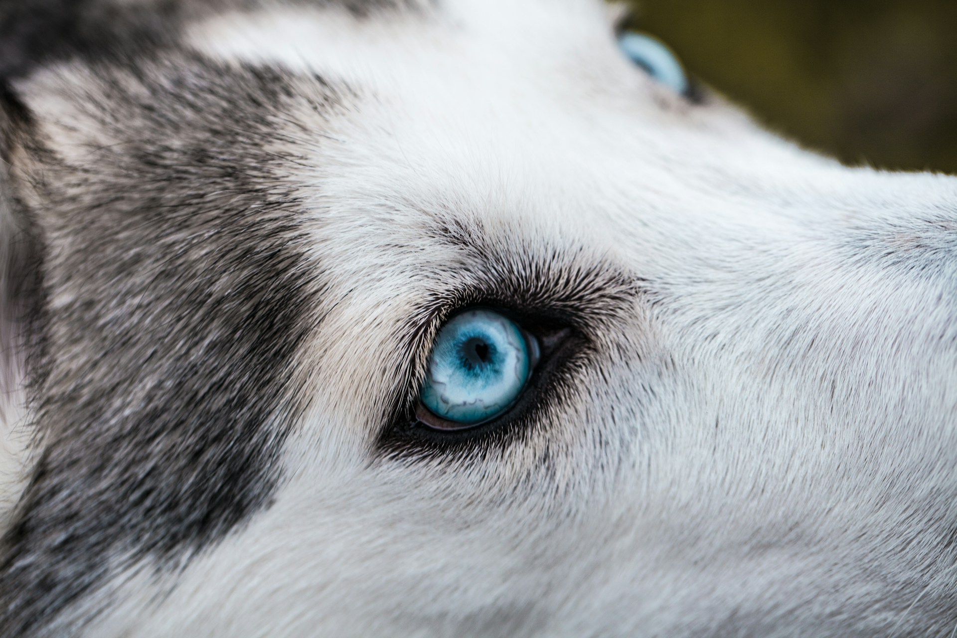 madison-oren-HtHrjExpddA-unsplash