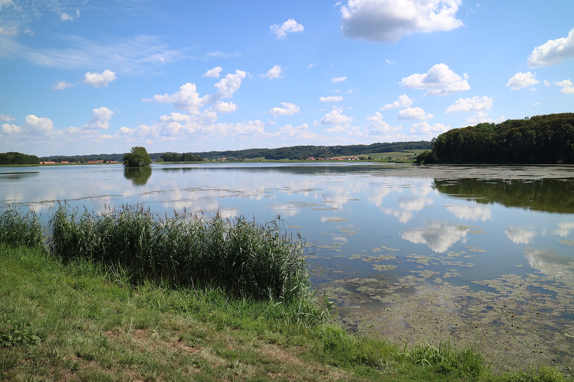 slovenija Gajševsko_jezero_03
