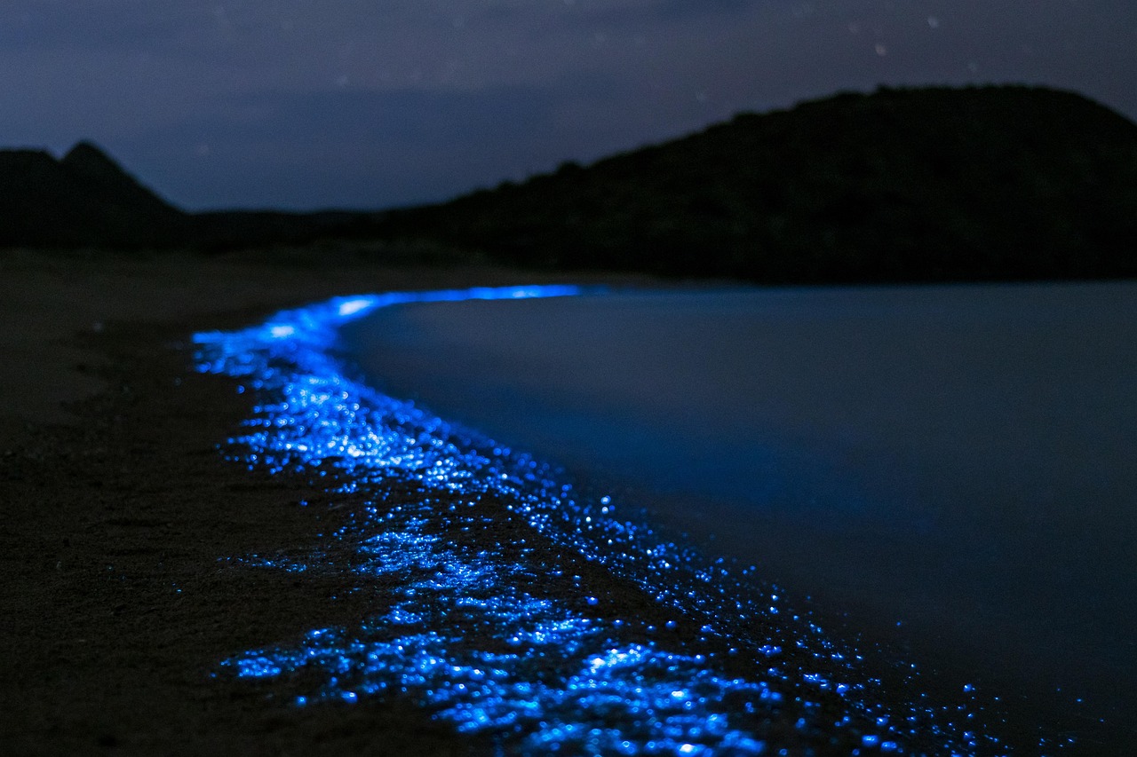 obala poletje plankton alvaro_bejarano-body-of-water-3332508_1280