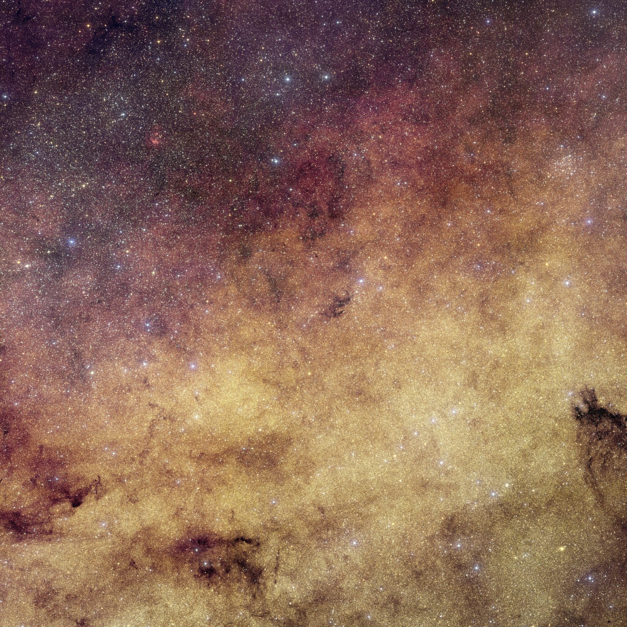 vesolje euclid-previews-milky Avtorstvo- ESA : Euclid : Euclid Consortium : NASA, CFHT; obdelava slik- J.-C. Cuillandre in E. Bertin (CEA Paris-Saclay)