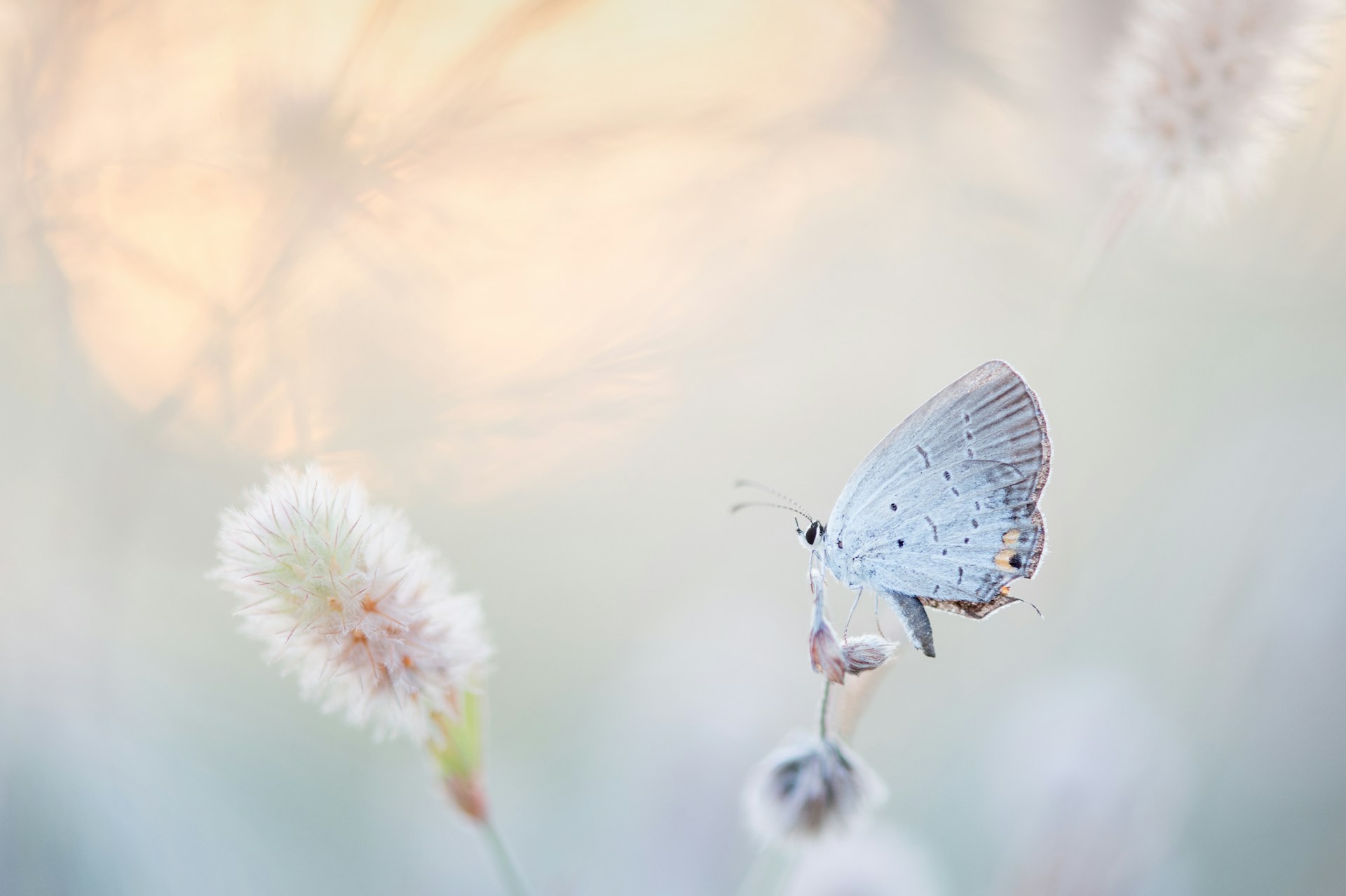 poletje življenje ray-hennessy-qZzJoiKHqmo-unsplash