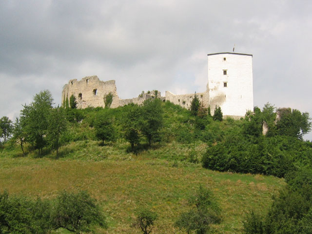 BurgGonobitz2004
