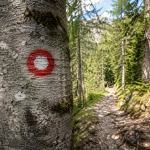 Zakaj markacisti poti obnavljajo prav na vrhuncu planinske sezone?