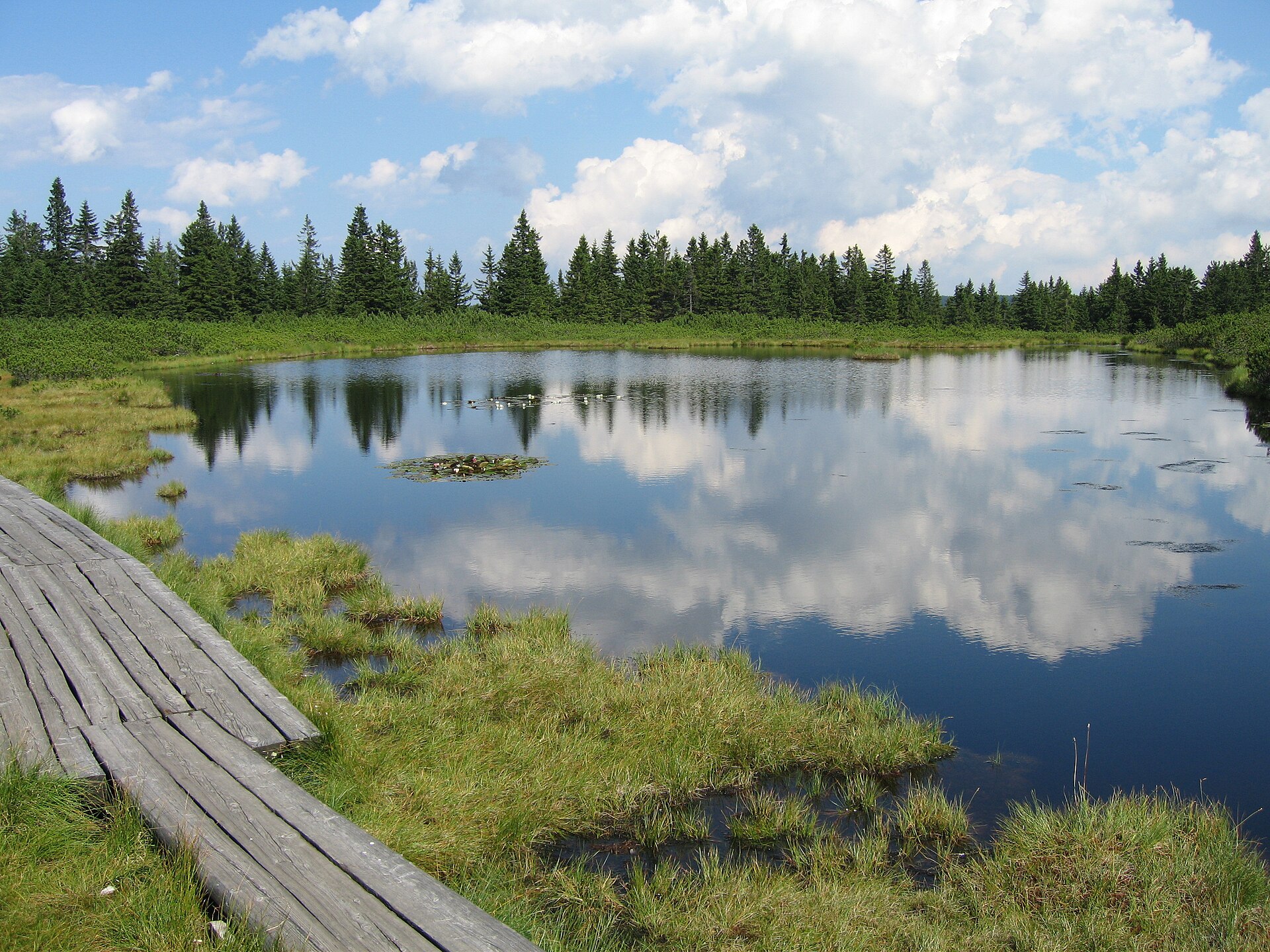 Ribnisko_jezero