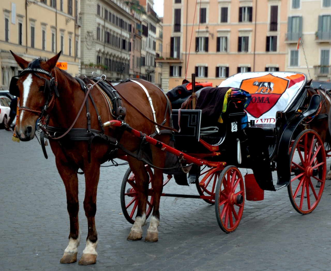 gildabicetre-rome-4949636_1280