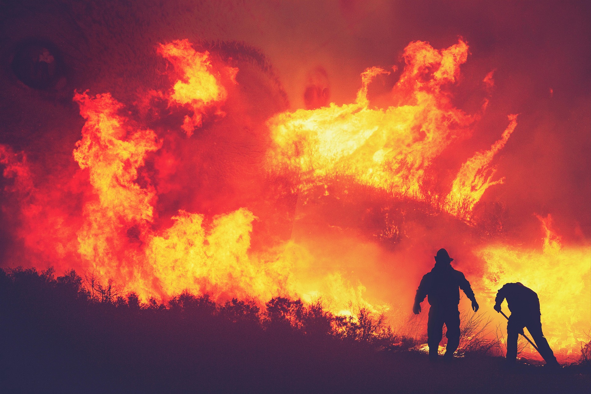 požar elg21-fire-5604682_1920