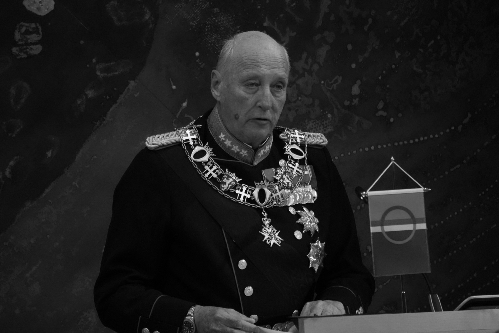 harald wiki