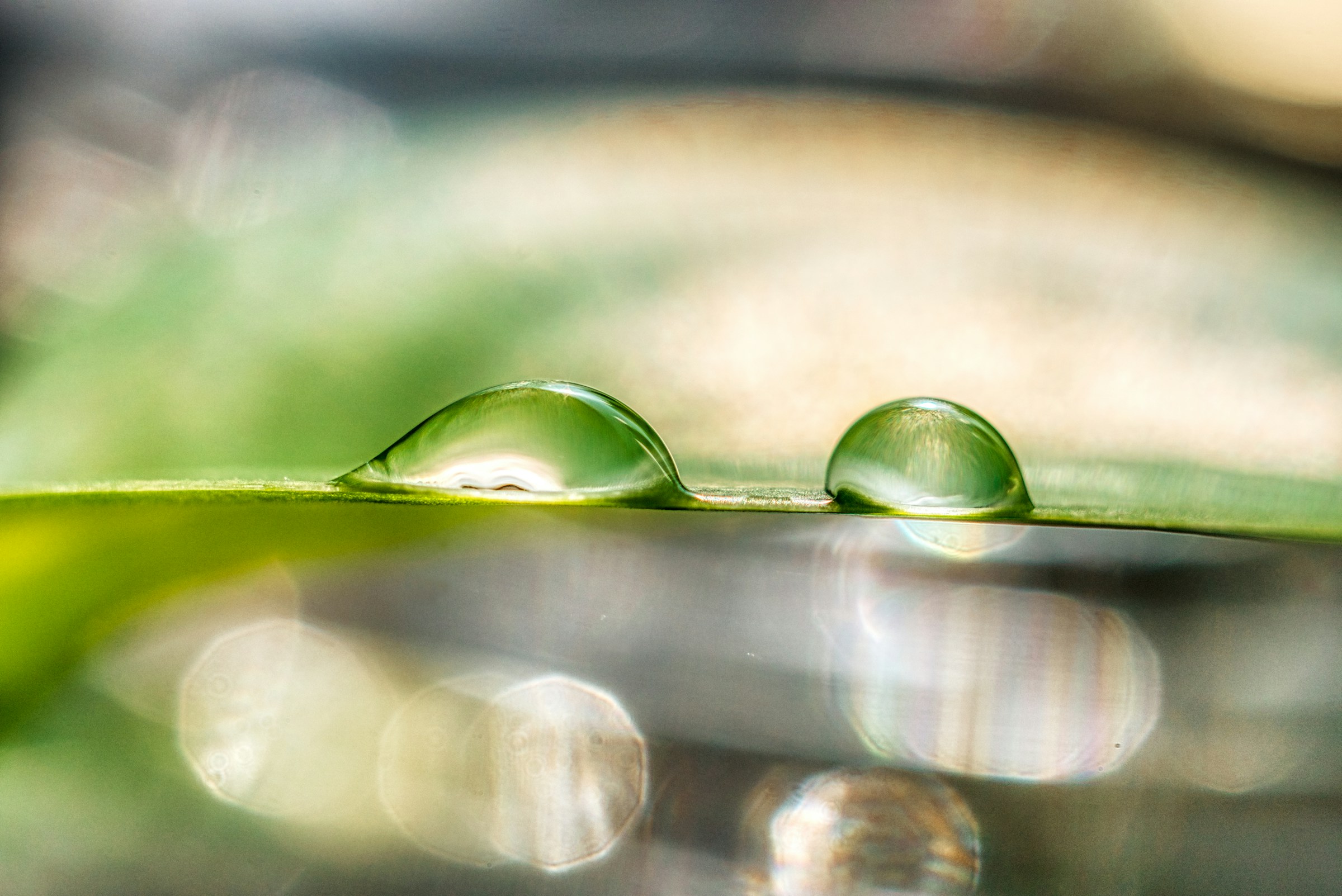voda thomas-kinto--k7bxsVTEbc-unsplash