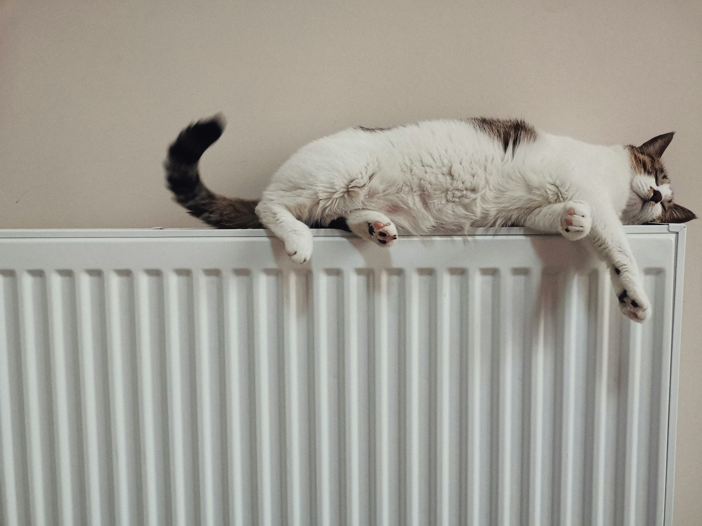 radiator ogrevanje he-gong-2VCtLsPEaWI-unsplash