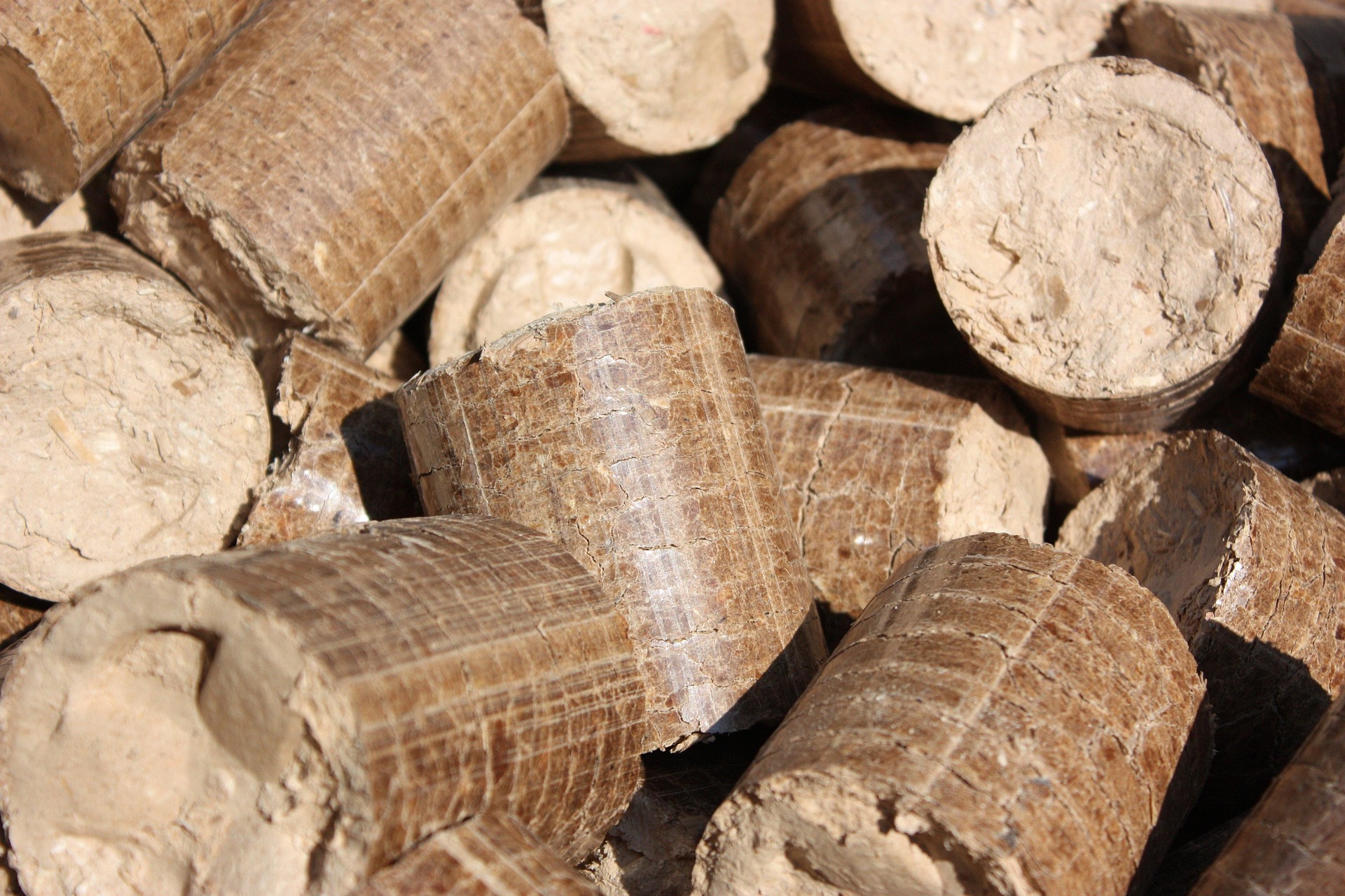 moses-briquettes-432098_1920