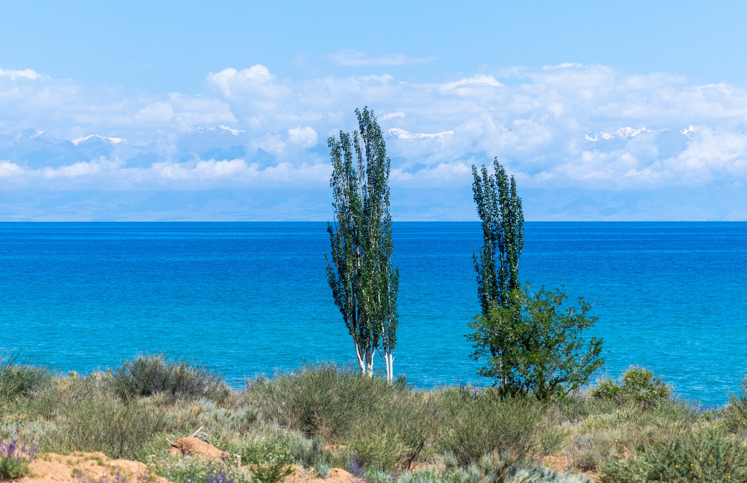 Issyk-Kul,_Kyrgyzstan_(42812885110)